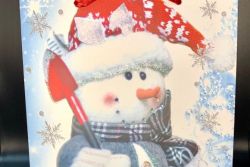 mini-funda-regalo-nieve-pqnaC76BABD4-141B-85B8-EC54-C2C0B743AB77.jpg
