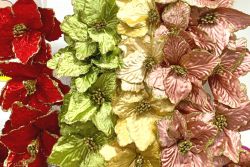 ponsetias4F42B3C1-9788-461F-0F3C-3B81FFB1723D.jpg