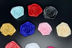 mini-flores8336124B-720C-568B-D723-4E2D9F0E09C8.jpg